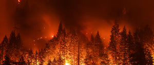 How to Keep Wildfire Smoke Out of Your House