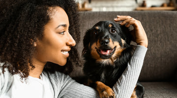 How to Live with Pet Allergies at Home