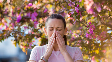 Common Pollen Allergens and What to Do About Them