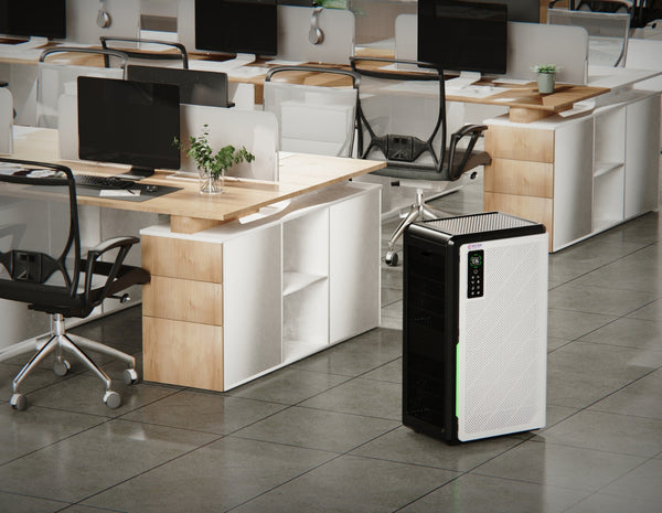 Image of AZALEA Air Purifier in an office