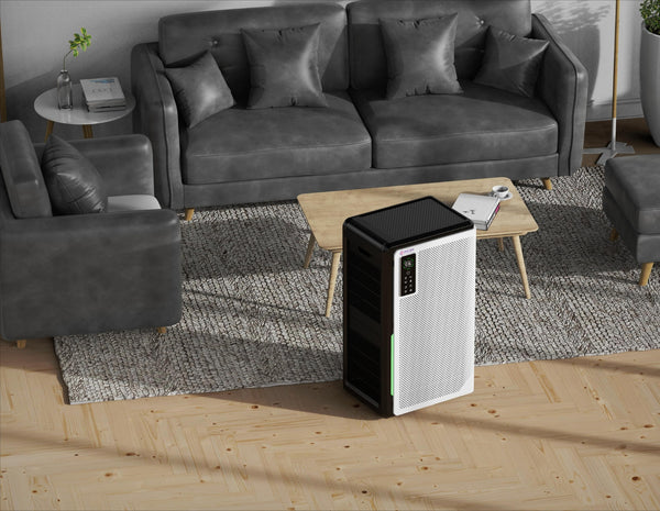 Image of AZALEA Air Purifier in a large room