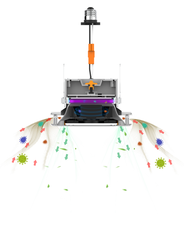 3D cross-section of CYCLAMEN UV-C Air Disinfection Downlight New Installation Model by UV Can Sanitize and how it disinfects the air